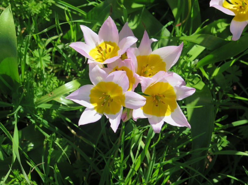 California - March (8)